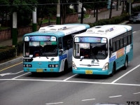 [여수] 시내버스 잡사. - 버스 갤러리