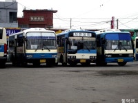 [충남] 서부교통->서천여객 - 버스 갤러리