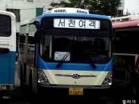 [충남] 서부교통->서천여객 - 버스 갤러리