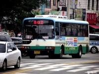 [충남] 논산,부여,청양,보령,홍성 잡사. - 버스 갤러리
