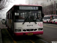 [경북] 안동,문경(점촌) 잡사.. - 버스 갤러리