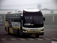 [경북] 안동,문경(점촌) 잡사.. - 버스 갤러리