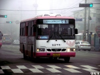 [경북] 안동,문경(점촌) 잡사.. - 버스 갤러리