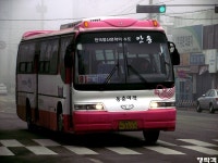 [경북] 안동,문경(점촌) 잡사.. - 버스 갤러리