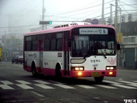 [경북] 안동,문경(점촌) 잡사.. - 버스 갤러리