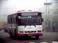 [경북] 안동,문경(점촌) 잡사.. - 버스 갤러리