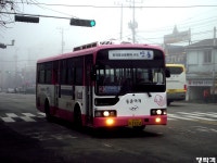 [경북] 안동,문경(점촌) 잡사.. - 버스 갤러리