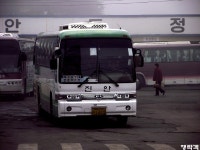 [경북] 안동,문경(점촌) 잡사.. - 버스 갤러리