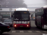 [경북] 안동,문경(점촌) 잡사.. - 버스 갤러리