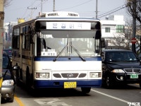 [경북] 안동,문경(점촌) 잡사.. - 버스 갤러리