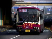 MD오토경북상주 | [경북] 상주,구미 잡사. - 버스 갤러리