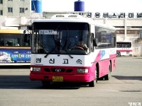 [전북,전남] 고창,목포 잡사. - 버스 갤러리