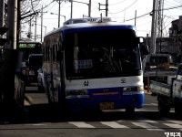 [부산/경남] 덕천교차로,구포역,김해외동터미널 잡사. - 버스 갤러리