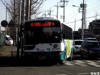 [부산/경남] 덕천교차로,구포역,김해외동터미널 잡사. - 버스 갤러리