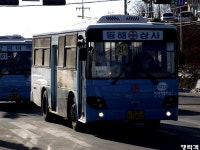 [강원/경북] 동해,울진 잡사. - 버스 갤러리