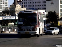 [강원/경북] 동해,울진 잡사. - 버스 갤러리