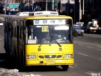 [강원/경북] 동해,울진 잡사. - 버스 갤러리