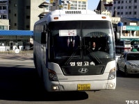 [강원/경북] 동해,울진 잡사. - 버스 갤러리