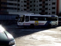 [강원/경북] 동해,울진 잡사. - 버스 갤러리