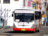 [강원/경북] 동해,울진 잡사. - 버스 갤러리