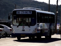 [강원/경북] 동해,울진 잡사. - 버스 갤러리