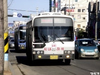 [경북] 포항시내버스 잡사. - 버스 갤러리