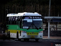 [경북] 경주터미널,신경주역 잡사. - 버스 갤러리
