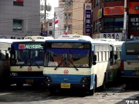 [충남] 서산,태안,당진 잡사. - 버스 갤러리