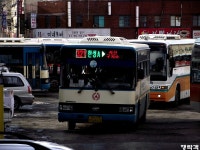 [충남] 서산,태안,당진 잡사. - 버스 갤러리