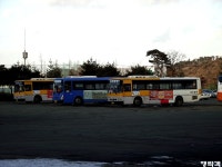 [충남] 서산,태안,당진 잡사. - 버스 갤러리