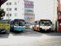 [제주] 서귀포,제주. - 버스 갤러리