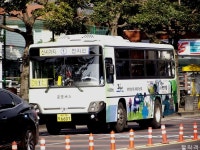 [제주] 서귀포,제주. - 버스 갤러리