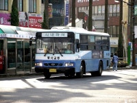 [제주] 서귀포,제주. - 버스 갤러리