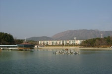지방의강남-도심상권_창원2 - 도시 갤러리