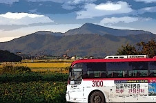 3100번 - 버스 갤러리