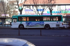 광명,철산,안산 잡사 - 버스 갤러리