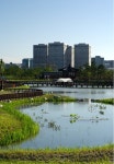 대전 한밭수목원, 시립미술관 - 도시 갤러리 대전 한밭수목원, 시립미술관  - 도시 갤러리