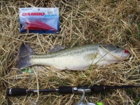 [코뼈골절투혼]좀 지난 4/1 전남 여수 죽림지 출조기. - 낚시 갤러리