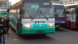 울산 잡사(2-시외) - 버스 갤러리