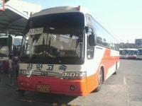 춘천터미널(강원진흥+AK) - 버스 갤러리