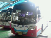 서울 남부터미널 잡사 - 버스 갤러리