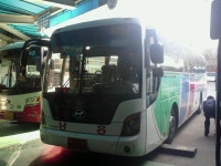 서울 남부터미널 잡사 - 버스 갤러리