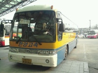 인천터미널 잡사(3)+아성고속 인천-안산-수원-오산-포항 뉴그랜 파크 - 버스 갤러리