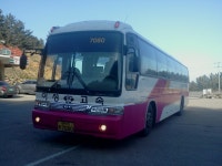 중앙고속(동서울-강릉)+아성고속(강릉-동해-부산)+경원여객(고현-서울) - 버스 갤러리