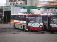 10년차 버덕 결산 추억돋는 짤 전북편... - 버스 갤러리