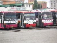 10년차 버덕 결산 추억돋는 짤 전북편... - 버스 갤러리