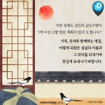 [카드뉴스] 할아버지가 설날을 구정이라 부르는 이유 | 연합뉴스
