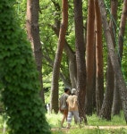 [#핫플콕콕] 솔향, 커피향, 바다향…향기 찾아 떠나는 강릉 | 연합뉴스