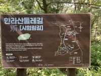 한라산둘레길 한남시험림 산불예방 위해 출입통제 | 연합뉴스