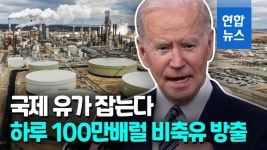 <교황, 가톨릭 교회에 '고통' 주지 않으려 자진사임> | 연합뉴스